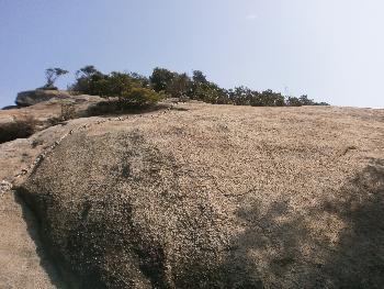 次郎丸岳登山③