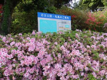 若宮公園