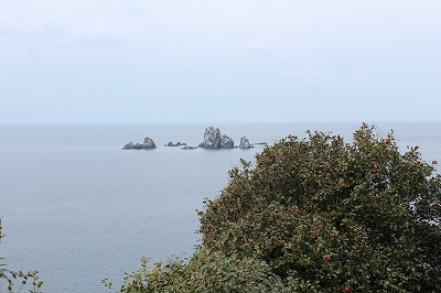 IMG_1802