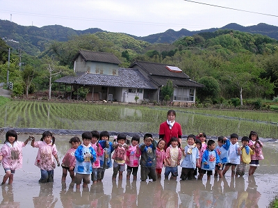 田植え４