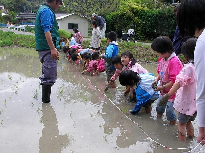 田植え２