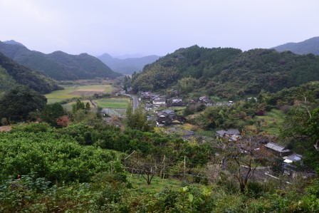 今富フットパス⑤