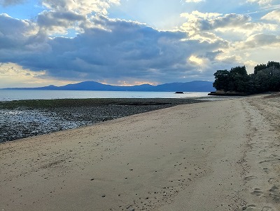 .trashed-1770628783-IMG_20260108_082809