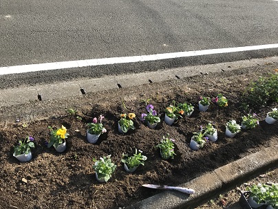 花苗植え②