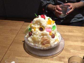 鹿児島旅行　白熊