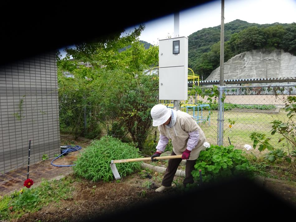 花壇整備活動