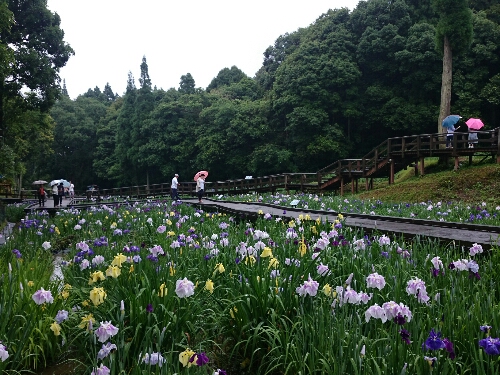 20160529-111823.jpg