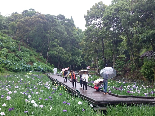 20160529-111823_1.jpg