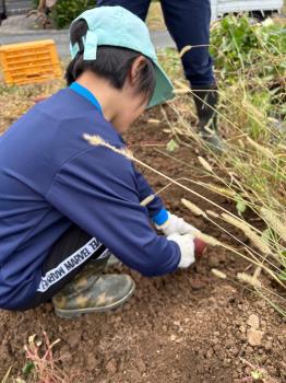 10月22日②