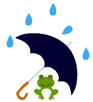 梅雨2