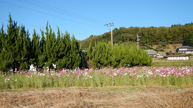 2022小学校横 (2)