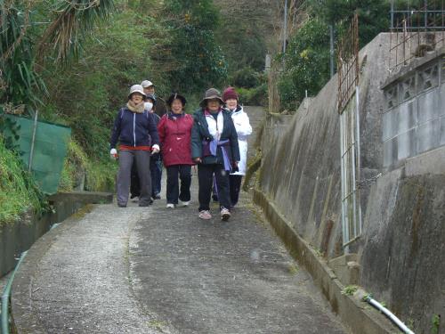 ウォーキング大会