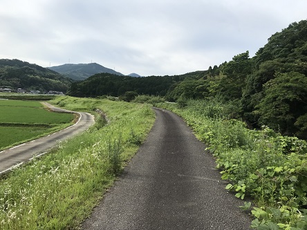 おえかぶる