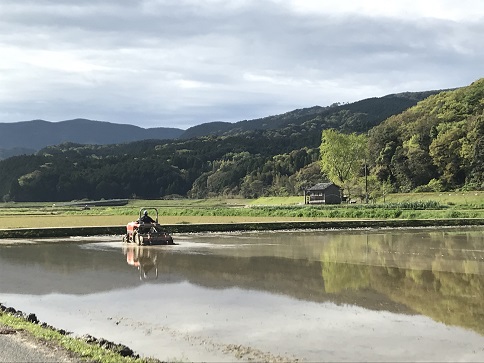 十五社田植え