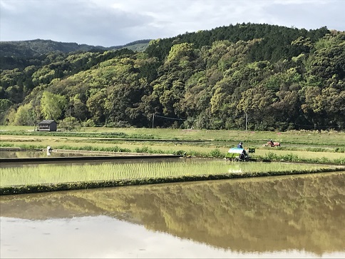十五社田植え２