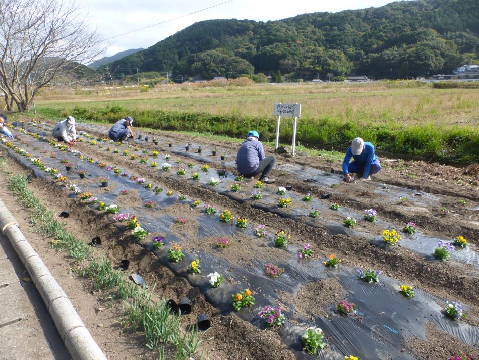 花がいちばん