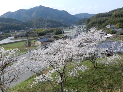 DSCN6437