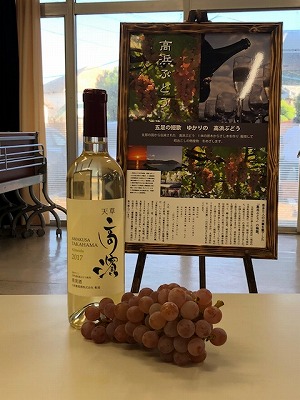ぶどう収穫（７）