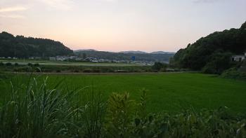 田園風景1（夕方）