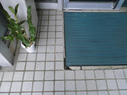 タイル