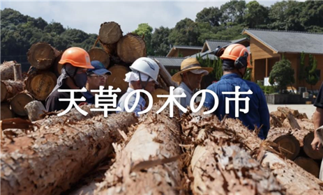 天草の木の市
