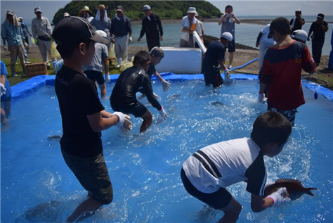 海の日5