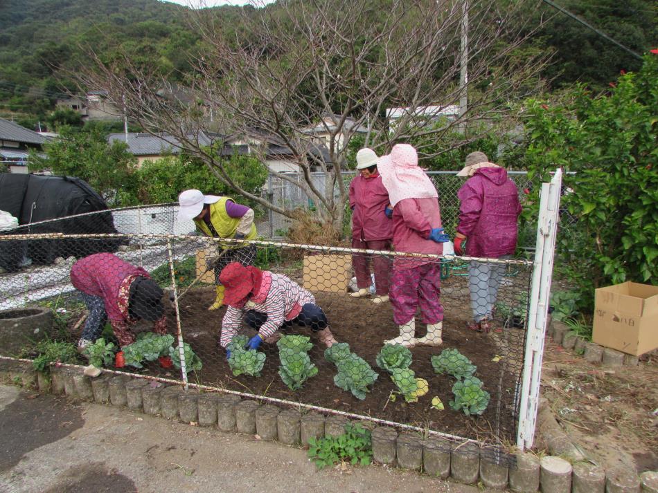 花いっぱい運動