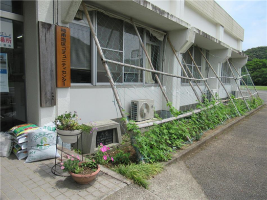 グリーンカーテン2