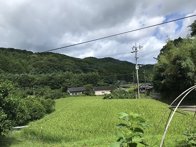 夏の萩の平