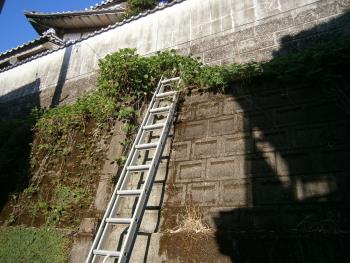 空き地の草刈り作業