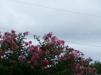 102_9673