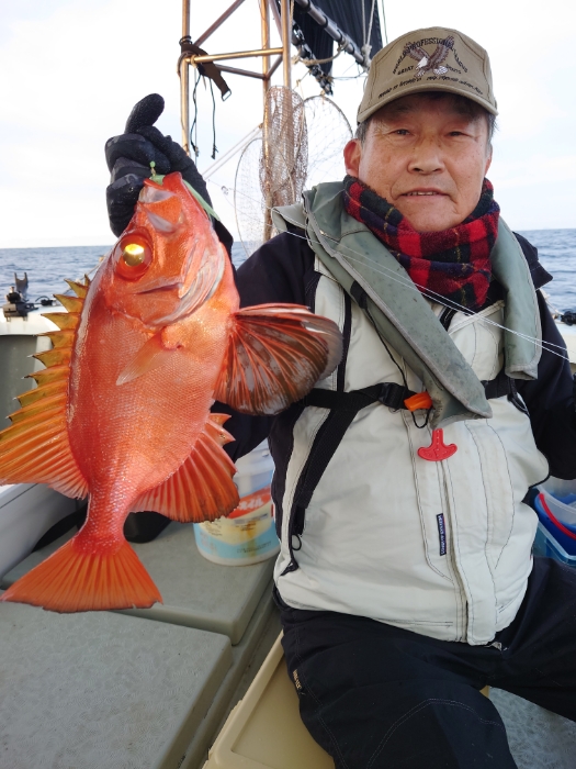 アジ泳がせと切り身釣り