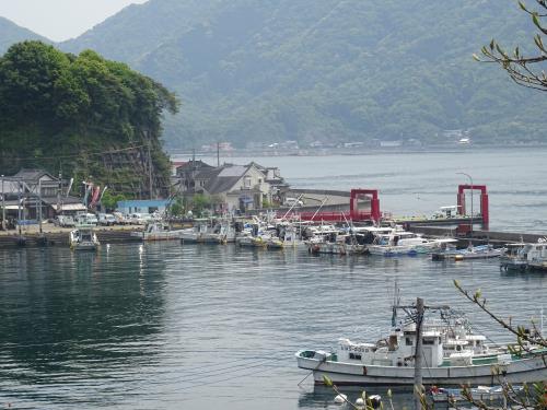 横浦島　