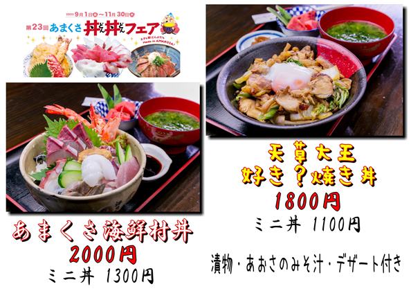 23.村丼丼web