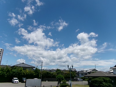 102_8788