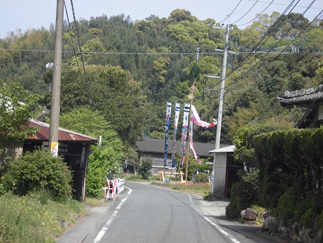 鯉のぼり　福田