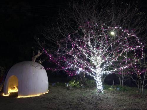 イルミネーション点灯式