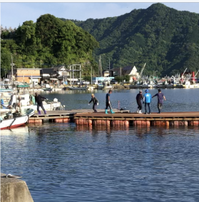 横浦島