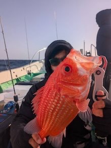 ジギング、スロージギング