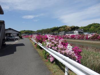 つつじ　今釜