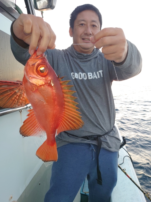 イワシ泳がせと切り身釣り