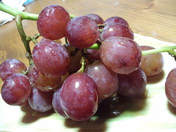 ぶどう