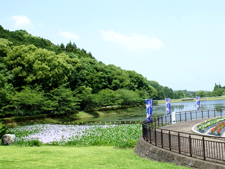 DSC03724