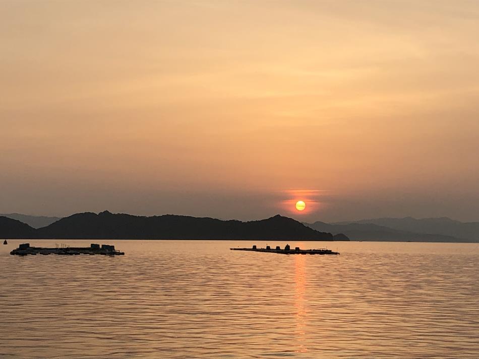 夕日