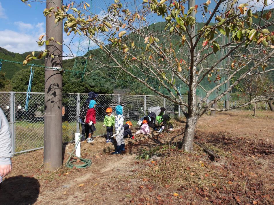 芋ほり20251028 (3)