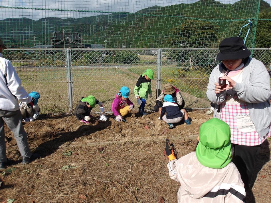 芋ほり20251028 (4)