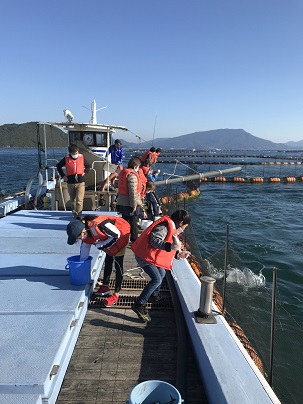 マグロ餌やり　３