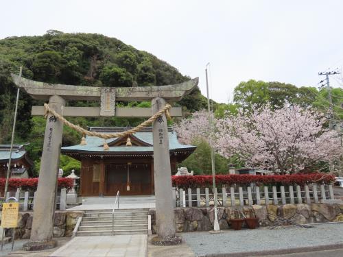 神社の桜