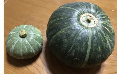 こまんかかぼちゃ
