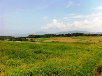 天草田園風景